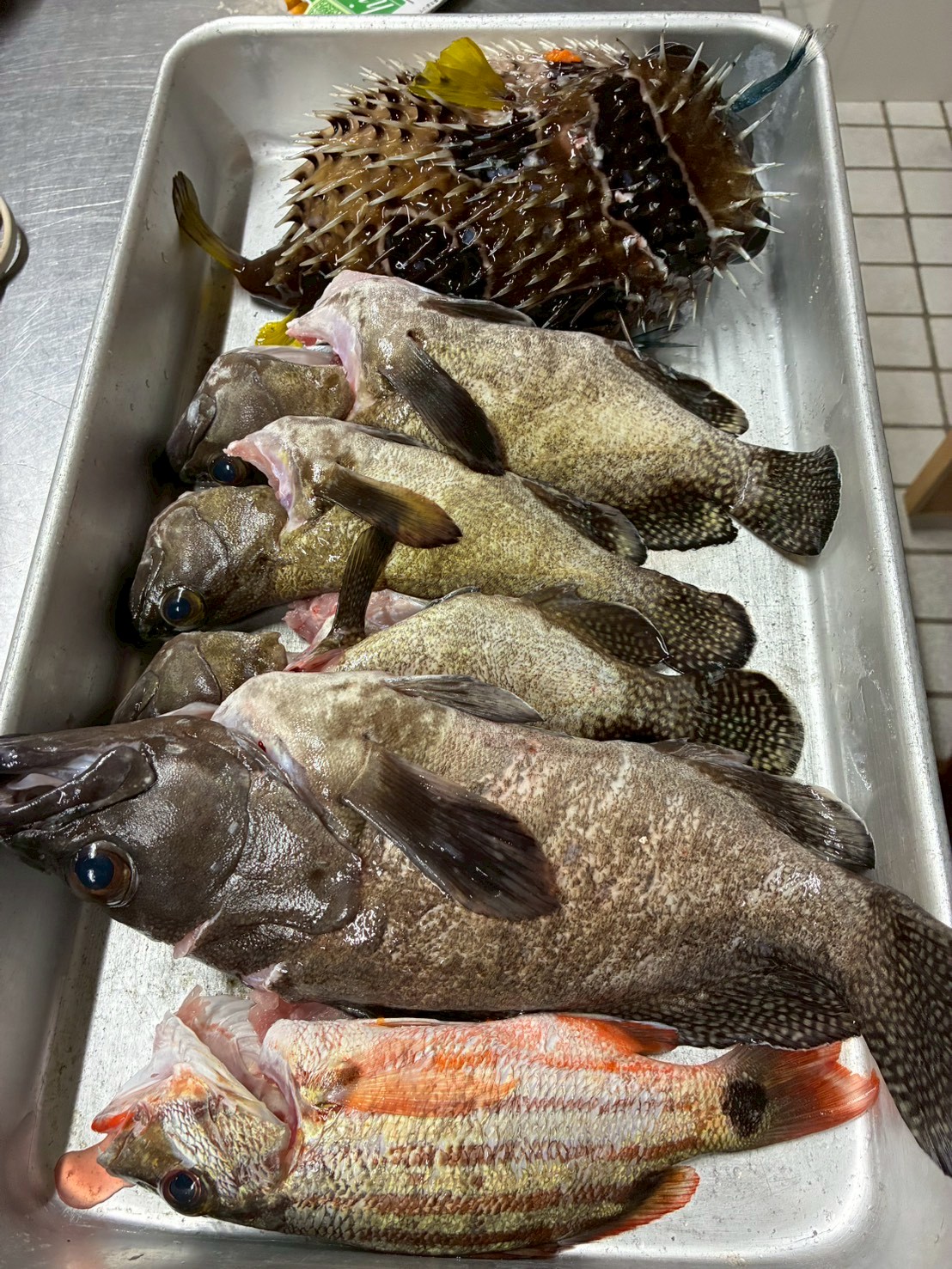 う島や亭の料理