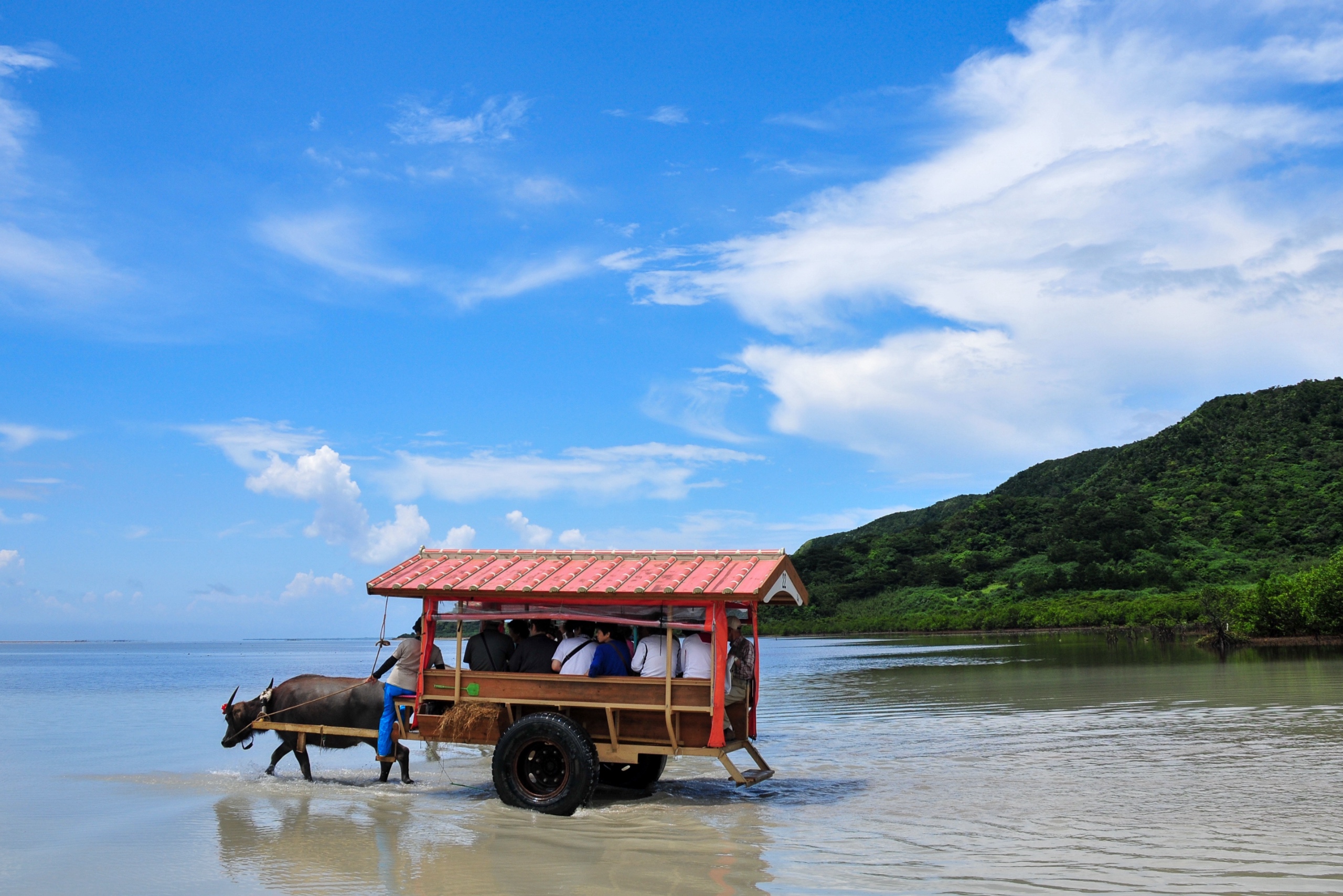 水牛車で海渡り