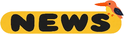 NEWS